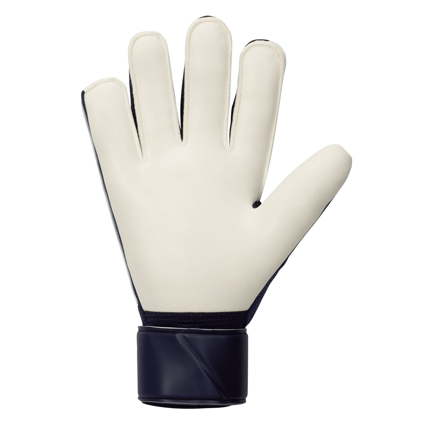 Nike Men's Match Goalkeeper Gloves Glacier Blue/Blackened Blue