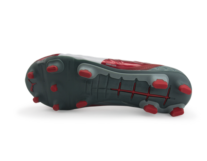 PUMA Men's evoPOWER 1.2 Graphic FG High Risk Red/White/Sea Pine