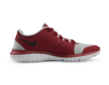 Nike Men's FS Lite Run Running Shoes Pure Platinum/Black/Gym Red