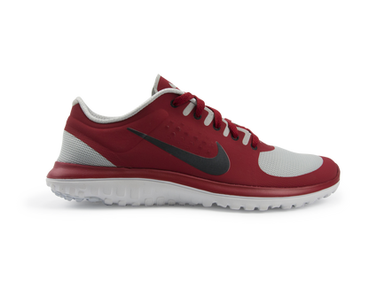 Nike Men's FS Lite Run Running Shoes Pure Platinum/Black/Gym Red