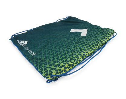 adidas Men's ACE 16.1 FG/AG Blue/White/Solar Slime