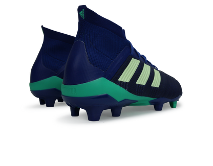 adidas Men'sPredator 18.1 FG Uni Ink/Aero Green