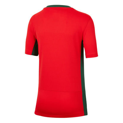 Nike Kids Portugal 2023/24 Home Jersey Red/Green