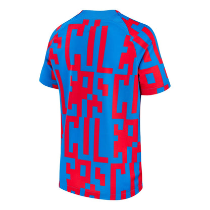 Nike Men's FC Barcelona 2022/23 Pre-Match Jersey Signal Blue/Obsidian