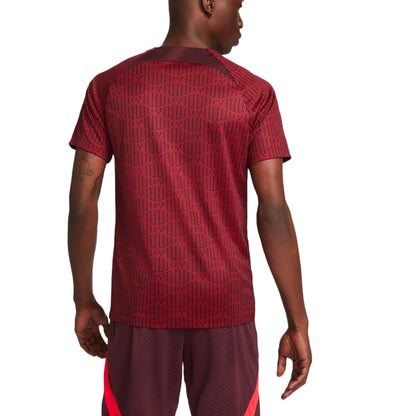 Nike Men's Liverpool Dri-FIT Pre-Match Top 2022 Red/Burgandy