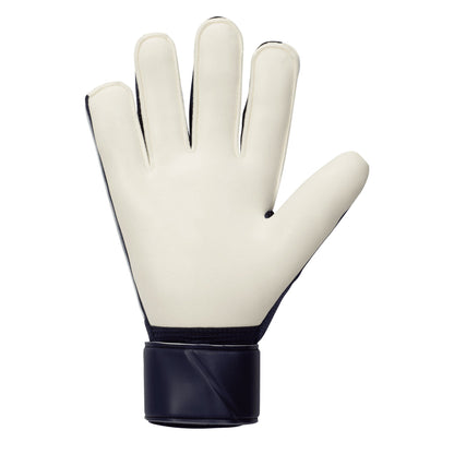 Nike Men's Match Goalkeeper Gloves Glacier Blue/Blackened Blue